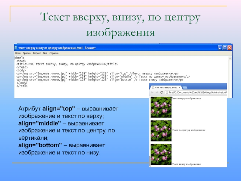 Как выровнять картинку по центру в html