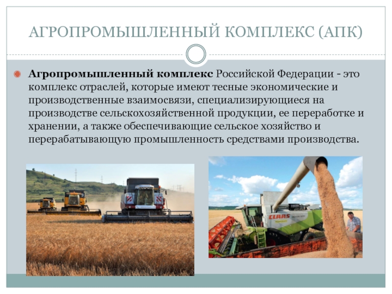 Реферат: Управление развитием сельскохозяйственного производства в агропромышленном комплексе администрат
