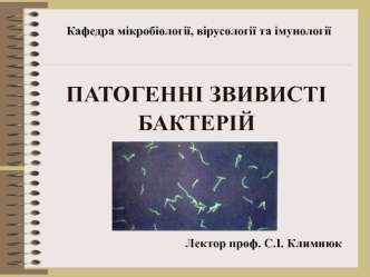 Патогенні звивисті бактерій