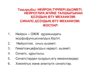 Нейрон,түрлері,қызметі. Нейроглия.жүйке талшығынан қозудың өту механизмі. Синапс,қозудың өту механизмі