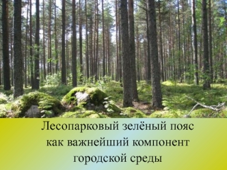 Лесопарковый зелёный пояс как важнейший компонент городской среды