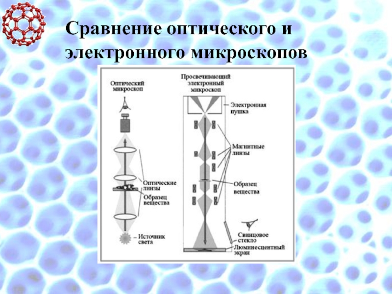 Просвечивающая электронная