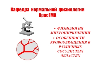 Физиология микроциркуляции. Особенности кровообращения в различных сосудистых областях