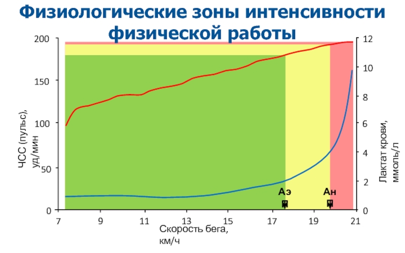 Зоны интенсивности работы. Зоны интенсивности. Интенсивность физических нагрузок. ЧСС. Зоны интенсивности и лактат.