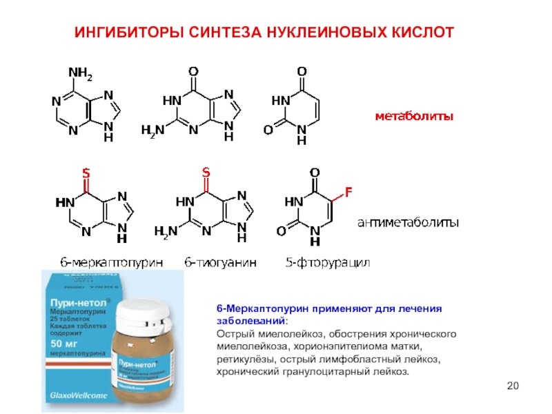 Нуклеиновые кислоты реакции. Антибиотики подавляющие Синтез нуклеиновых кислот. 6 Меркаптопурин структура. Витамин в6 Синтез нуклеиновых кислот. Ингибиторы синтеза нуклеиновых кислот.