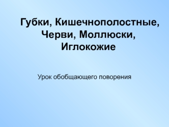 Беспозвоночные. Губки, кишечнополостные, черви, моллюски, иглокожие