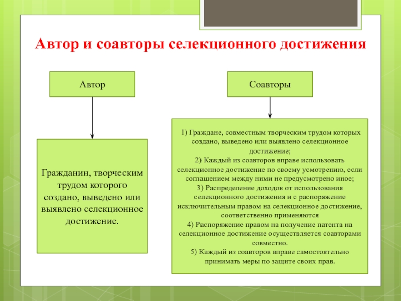 Граждане создавшие изобретение полезную модель или промышленный образец совместным творческим трудом