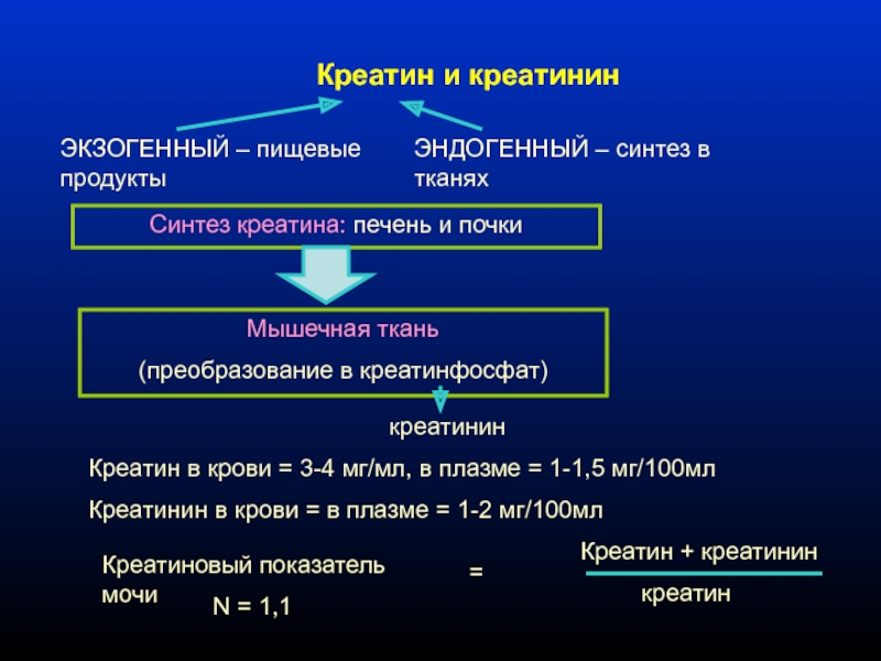 Последствия повышенного креатинина