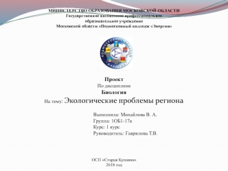 Михайлова В