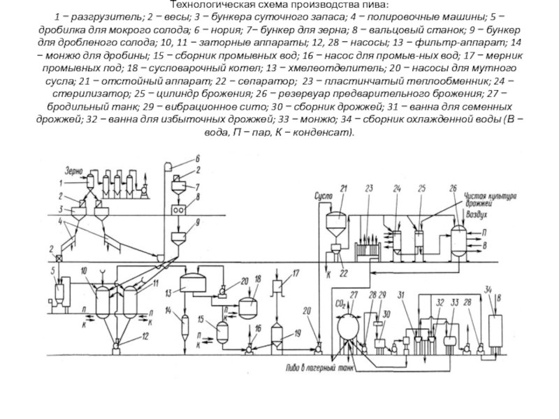 Выбор и обоснование технологической схемы производства пива