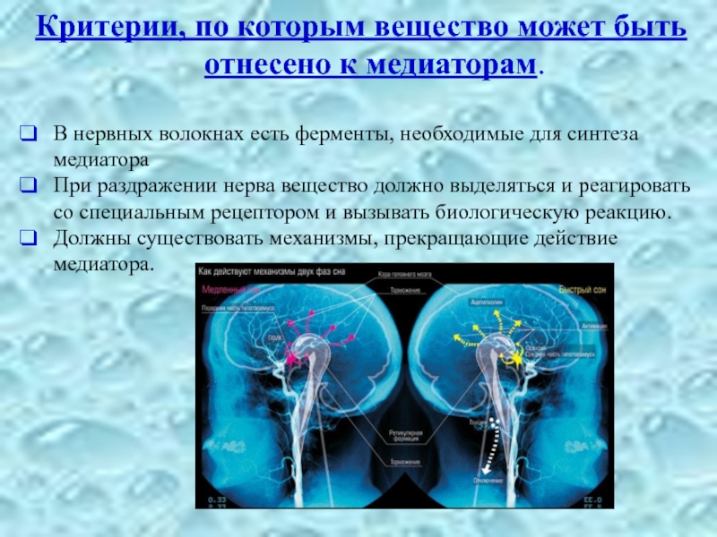 Тема анализаторы нервная система. Анализаторы центральной нервной системы. Биохимия нервной системы. Перечислите анализаторы центральной нервной системы. Ферменты нервной ткани для диагностики.