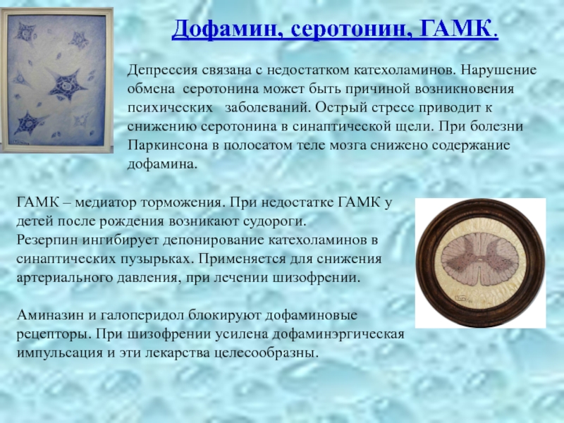 Нехватка дофамина симптомы. Нарушение обмена серотонина. Серотонин дофамин ГАМК. Нарушение обмена дофамина. Депрессия нехватка серотонина.