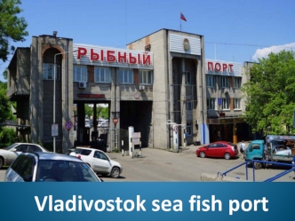 Vladivostok sea fish port
