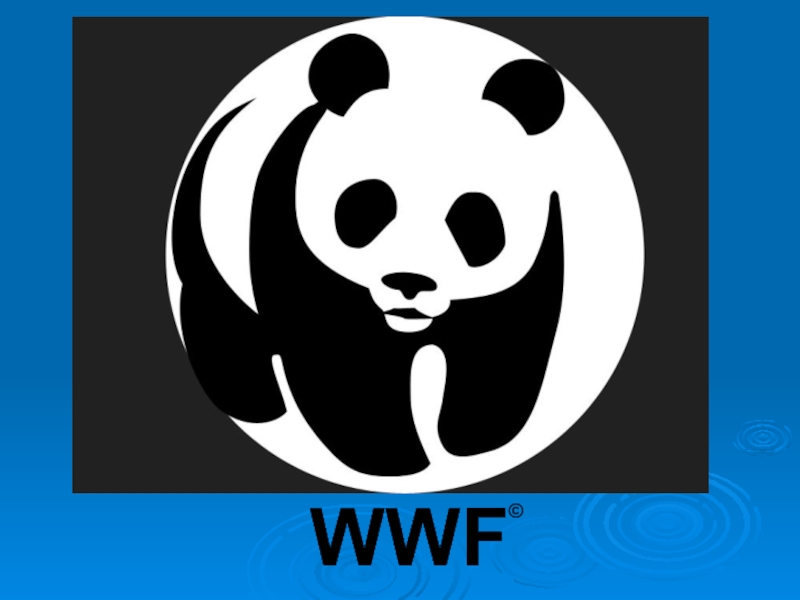 The world wildlife fund is