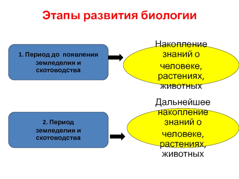 История развития биологии проект 10 класс