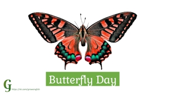 Butterfly Day