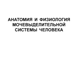 Анатомия и физиология мочевыделительной системы человека