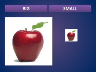 describing_a_person_has_got