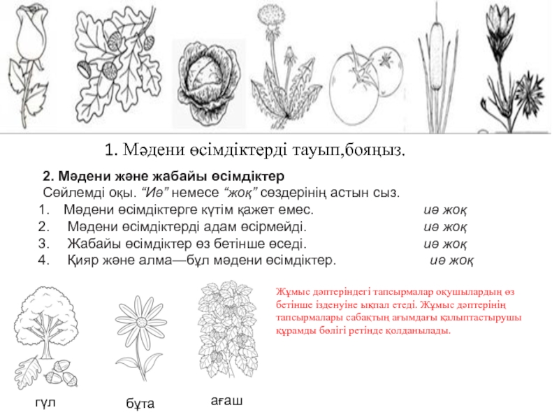 Өсімдіктерді қалай күту қажет жаратылыстану тех карта