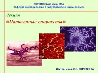 Патогенные спирохеты