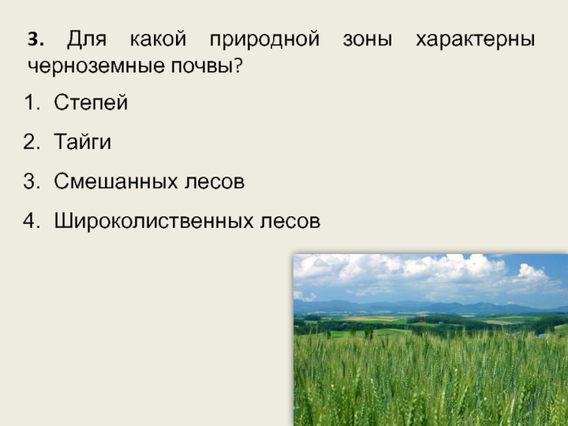 Почвы какой из перечисленных природных зон россии. Чернозём природная зона. Черноземные почвы природная зона. Чернозёмные почвы характерны для природной зоны. Черноземные почвы характерны.