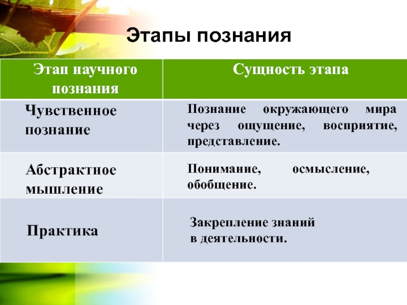 Какая из этих групп процессов составляет абстрактное мышление как одну из стадий в схеме познания