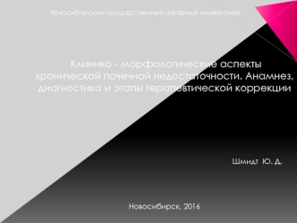 Клинико - морфологические аспекты хронической почечной недостаточности. Анамнез, диагностика и этапы терапевтической коррекции