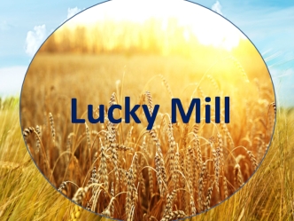 Компания Lucki Mill