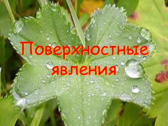 Поверхностные явления