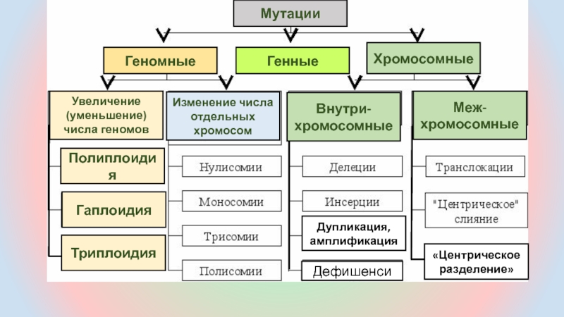 Геномные мутации проект