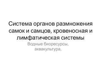 Система органов размножения самок и самцов, кровеносная и лимфатическая системы