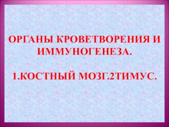 Органы кроветворения и иммуногенеза. Костный мозг. Тимус