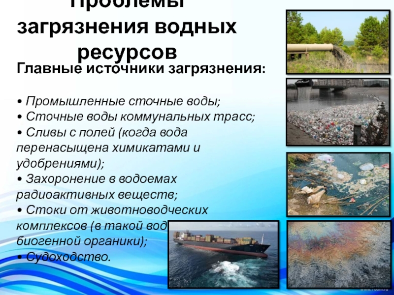 Источники загрязнения воды фото