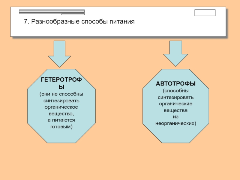 Обмен веществ автотрофов и гетеротрофов