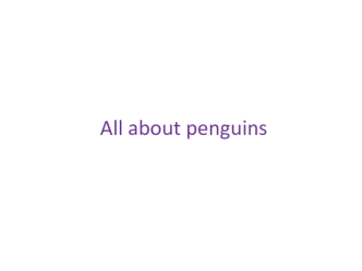 All about penguins