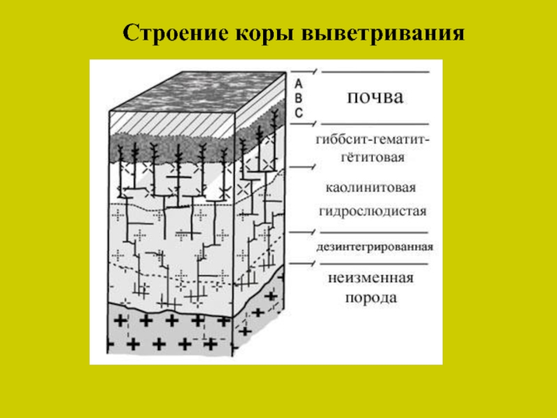 Строение коры. Строение коры выветривания. Схема строения коры выветривания. Принципиальная схема строения коры выветривания. Структура коры выветривания.