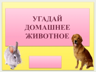 Угадай домашнее животное