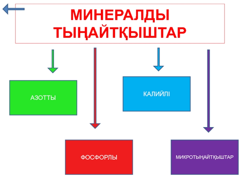 Минералды заттар презентация