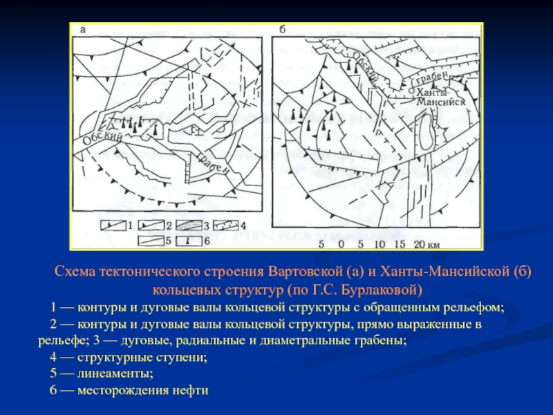 Кольцевая строение 2