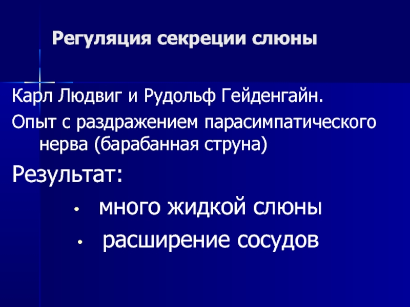 Ученые изучали регуляцию секреции слюны. Регуляция секреции слюны. Гейденгайн. Секреция слюны.