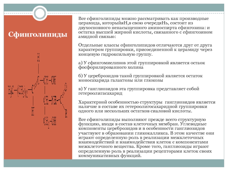 Структура глицерофосфатов и сфинголипидов