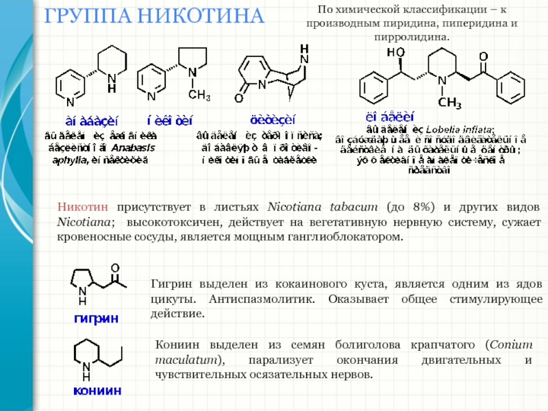 Никотин биохимия. Никотин химические свойства реакции. Химическая структура никотина. Никотин химические реакции. Никотин структурная формула.