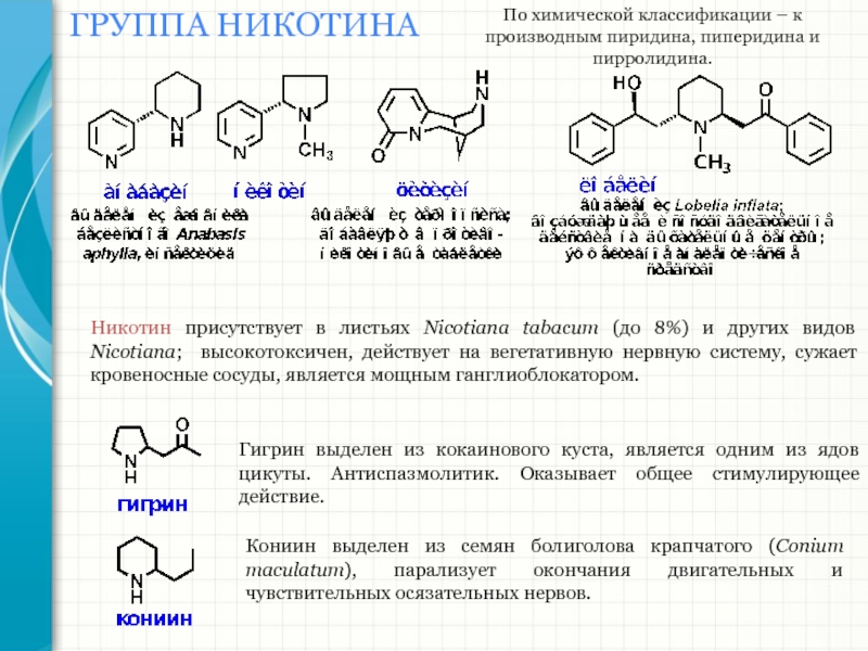 S группа химия