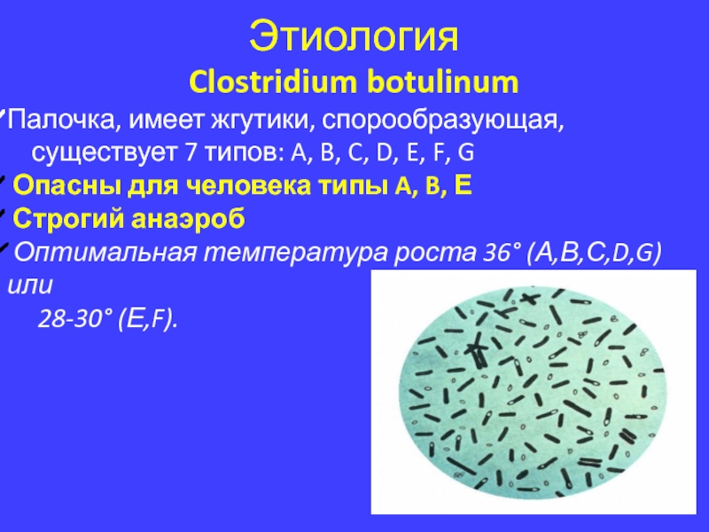 Clostridium botulinum презентация