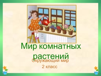 Мир комнатных растений