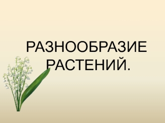 Разнообразие растений