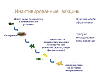 Инактивированные вакцины