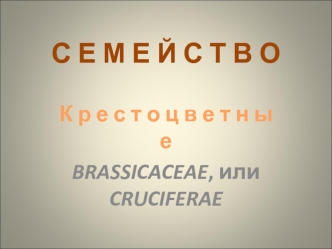 Семейство Крестоцветные