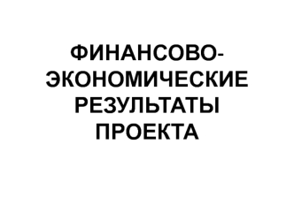 Финансово-экономические результаты проекта