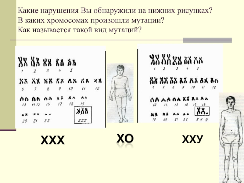 2n 1 как называется данная мутация. Хромосомные мутации биология 10 класс. Типы хромосомных мутаций рисунки. Виды хромосомных мутаций. Название мутации Клайнфельтера.